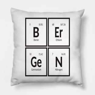 Elements of Bergen City Pillow