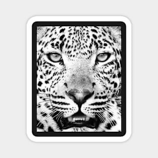 Leopard portrait print Magnet