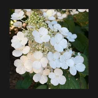 White hydrangeas T-Shirt