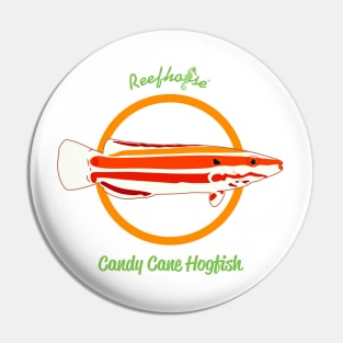 Candy Cane Hogfish Pin