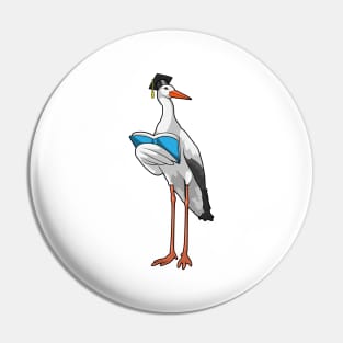 Stork as Teacher with Book Pin