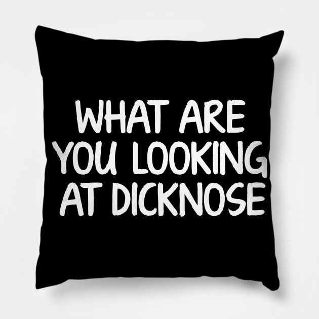 What Are you Looking At Dicknose (Stiles) Pillow by The80sCinemasShop