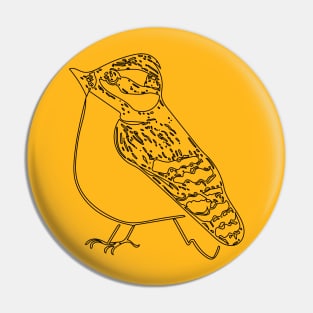 Bird Art Pin