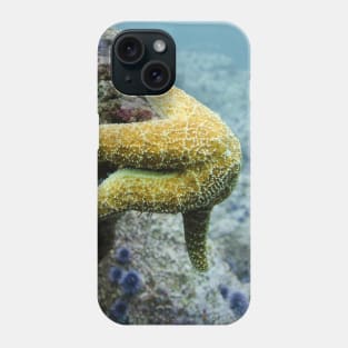 Starfish Underwater Phone Case