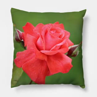 Pink Rose Flower and Buds Pillow