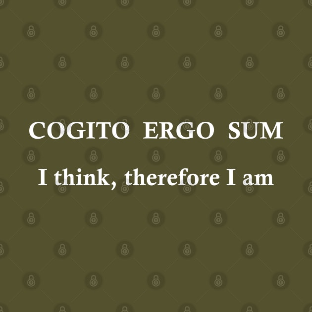 cogito ergo sum by omitay