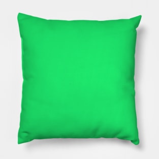 Lime Mojito Green Florida Colors of the Sunshine State Pillow