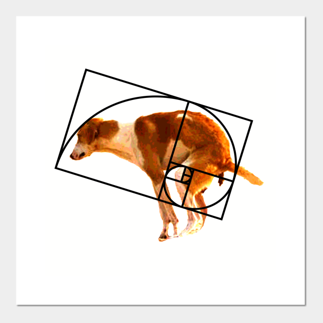 FIbonacci golden ratio dog - Dog - Posters and Art Prints | TeePublic FIbonacci golden ratio dog - Dog - Posters and Art Prints | TeePublic
