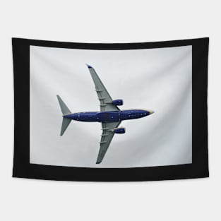 BOEING 737-73S Tapestry