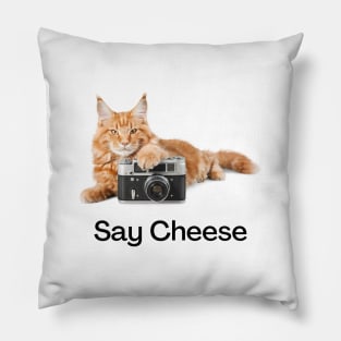 Say Cheese Pillow