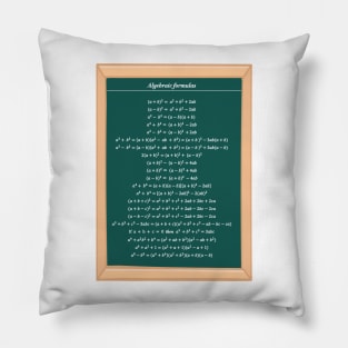 Algebraic Formulas Pillow