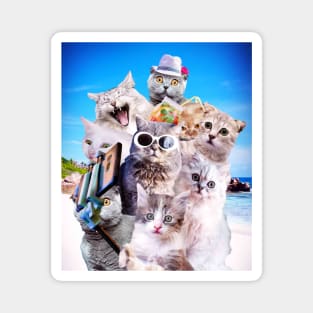 Kitten Cat Selfie On Beach Magnet