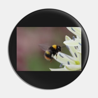 Bee in flight Pin