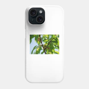 Young Almond Drupes Phone Case