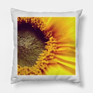 Macro sunflower Pillow