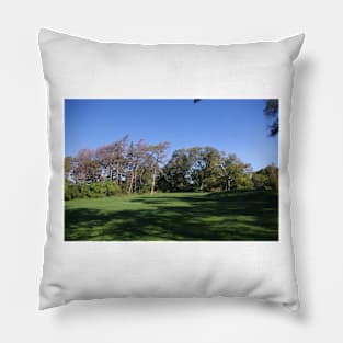 Trees Bent Hamilton Pillow