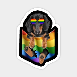 Dachshund In Pocket LGBT Pride Flag For Dog Lovers Magnet