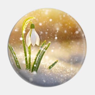 spring snowdrop Pin