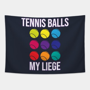 Tennis Balls, my liege - Henry V Shakespeare Tapestry