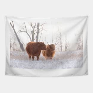 Highland Cattle in Love Tapestry