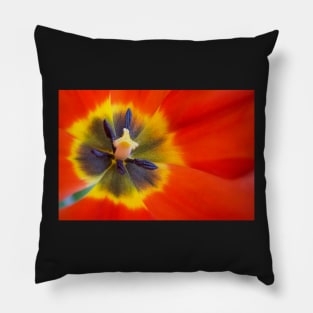 Tulip Greeting Card Pillow