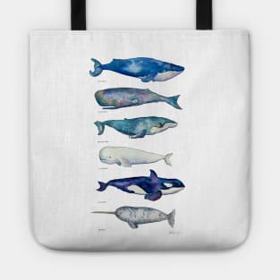 Whale Species Tote