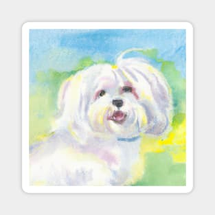 Maltese Watercolor Painting - Dog Lover Gifts Magnet