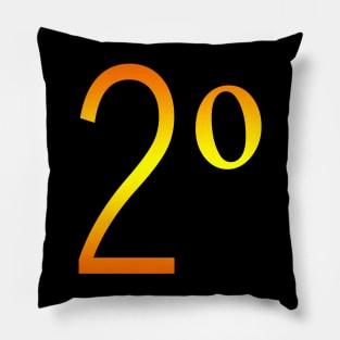 NUMBER 2 two Pillow