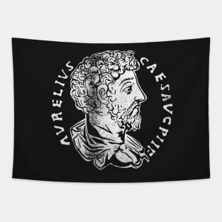 Marcus Aurelius Ancient Roman Coin Tapestry