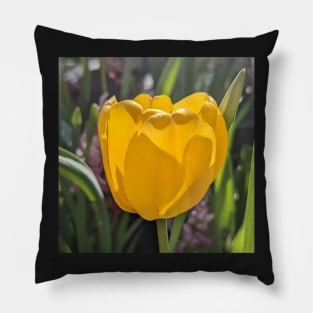 Yellow Tulip 5 Pillow