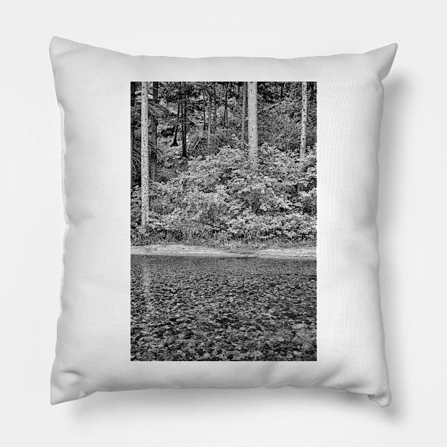 Big Thompson Canyon in Summer Pillow by bobmeyers