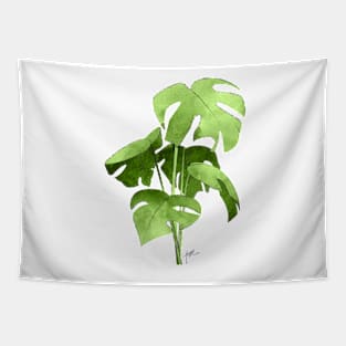 Monstera Deliciosa Tapestry