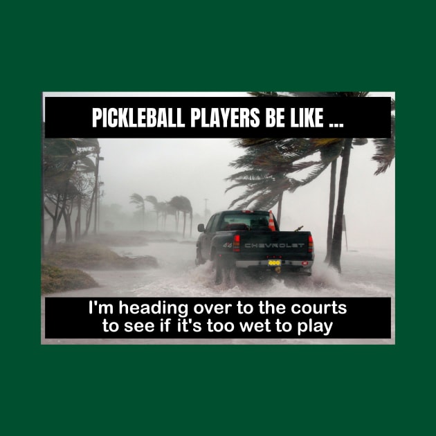 Pickleball - Courts Are Too Wet to Play by numpdog