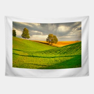 Summer Country Scene Tapestry