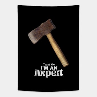 Trust me I'm an Axpert Tapestry