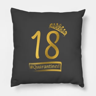 18th quarantine birthday Pillow