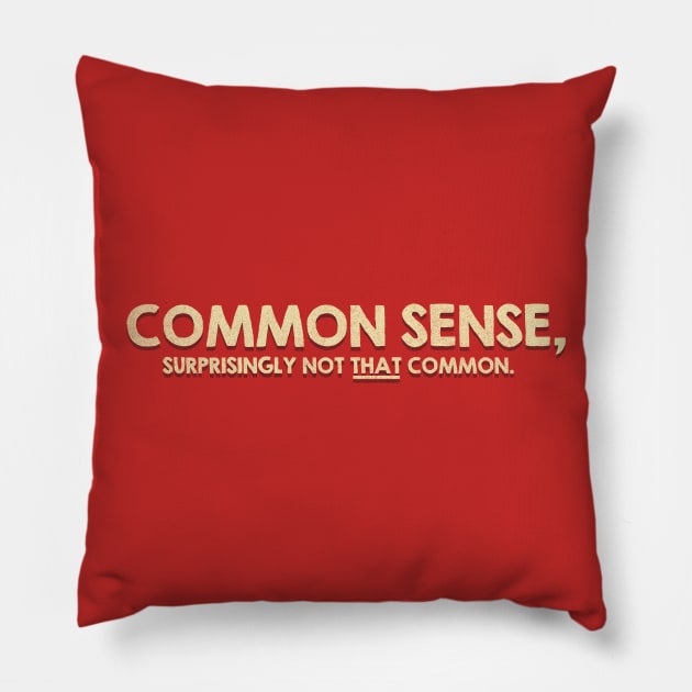 Common Sense Pillow by APSketches