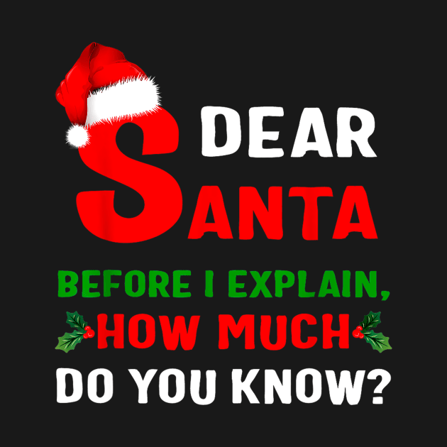 Funny Xmas Dear Santa Before I Explain How Much Do You Know by cogemma.art