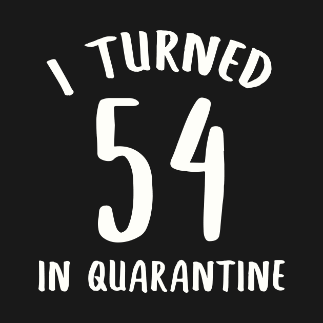 I Turned 54 In Quarantine by llama_chill_art