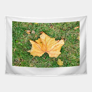 Big "Maple" Leaf Tapestry