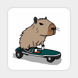 Capybara skateboard Magnet