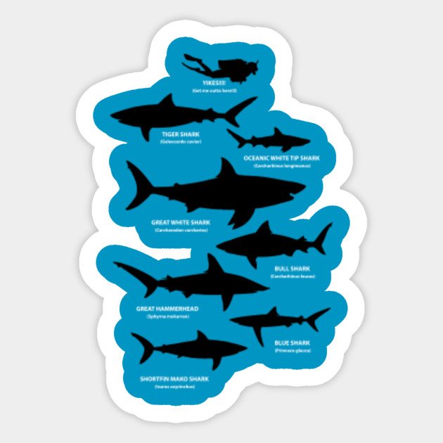 THE DEADLIEST SHARKS IN THE OCEAN - Sharks - Sticker