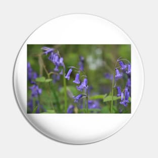 Bluebell up close Pin