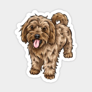 Ginger Cavapoo Dog Magnet