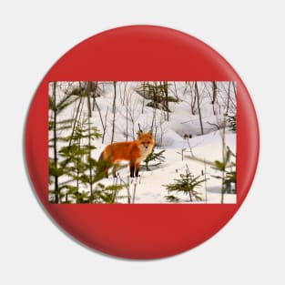 Winter Fox Pin