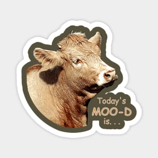 Todays Moo-d is... No.1 Magnet