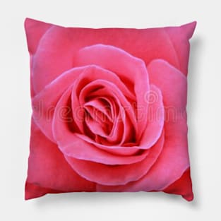 Rose Pillow