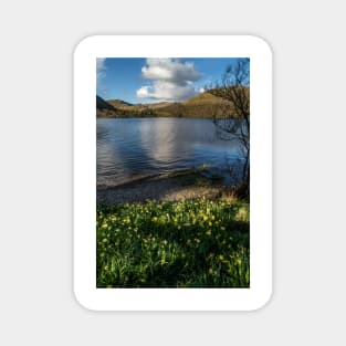 I wanderd lonley as a cloud, Wordsworths Daffodils Magnet