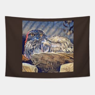 Tawny Frogmouth Tapestry