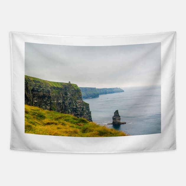 Cliffs of Moher, County Clare, Ireland 5 Tapestry by mbangert